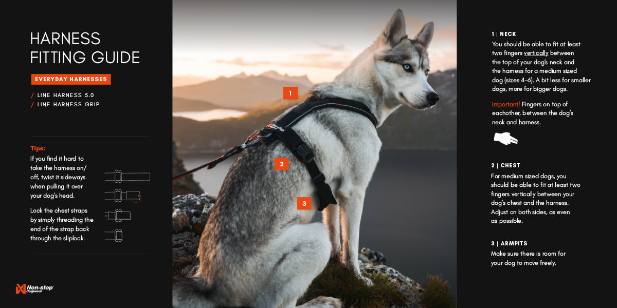 Non-Stop Dog Wear: Line Harness 5.0