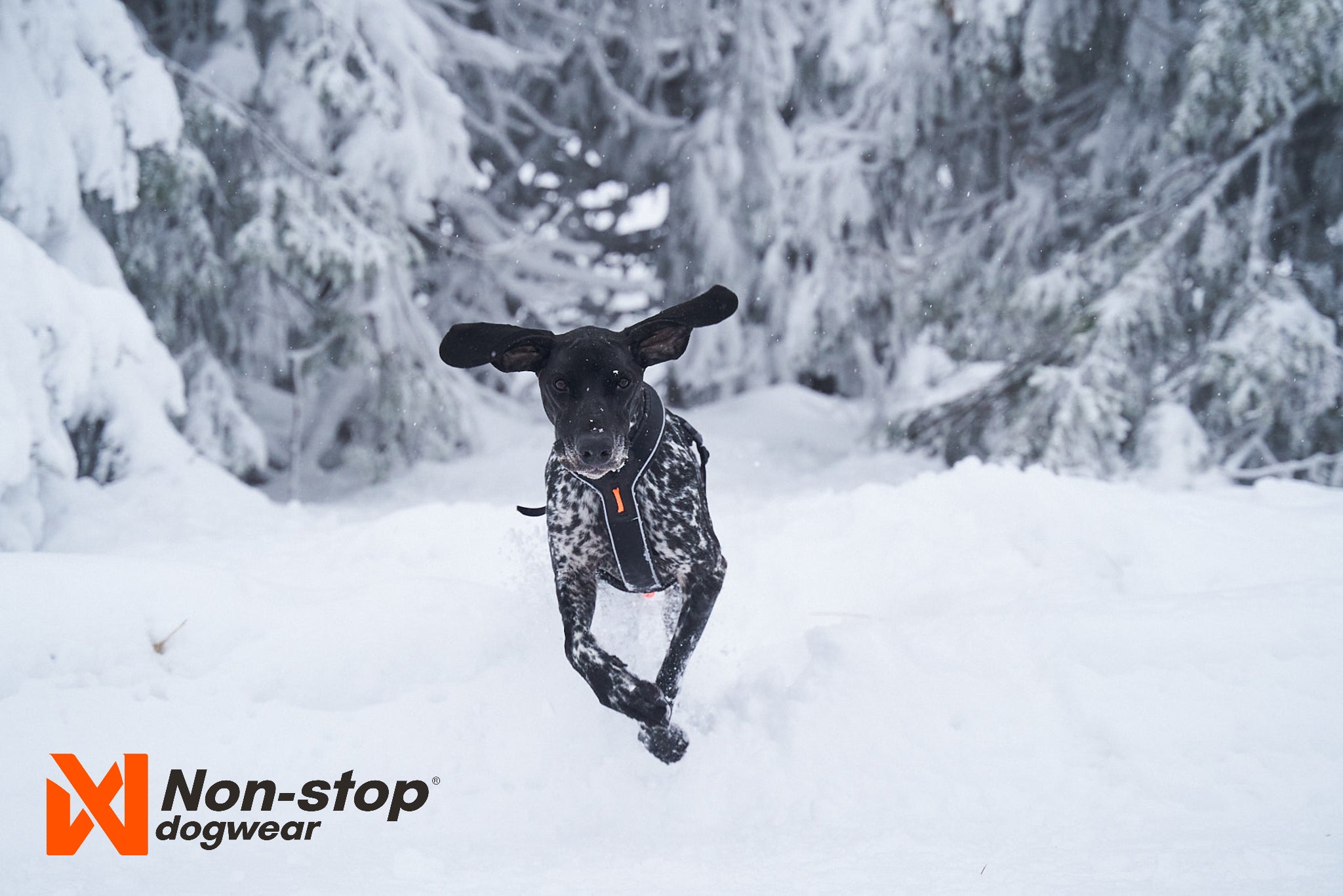 Non-Stop Dog Wear: Line Harness Grip