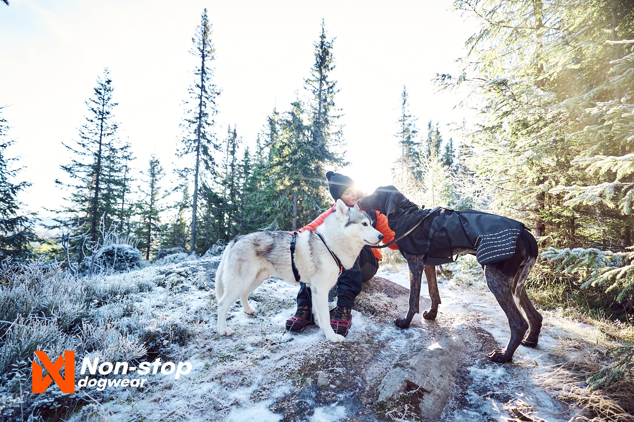 Non-Stop Dog Wear: Line Harness Grip