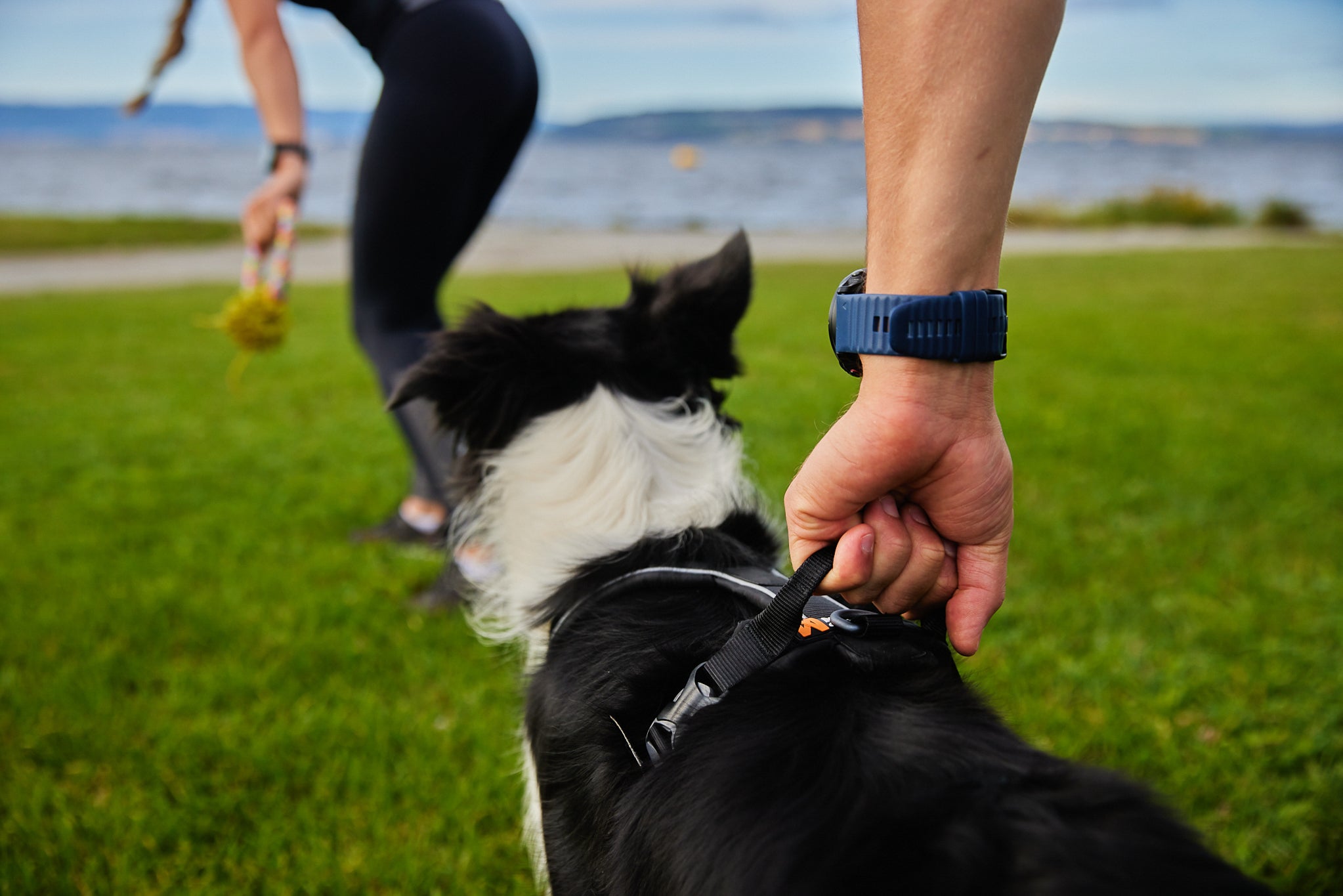 Non-Stop Dog Wear: Line Harness Grip