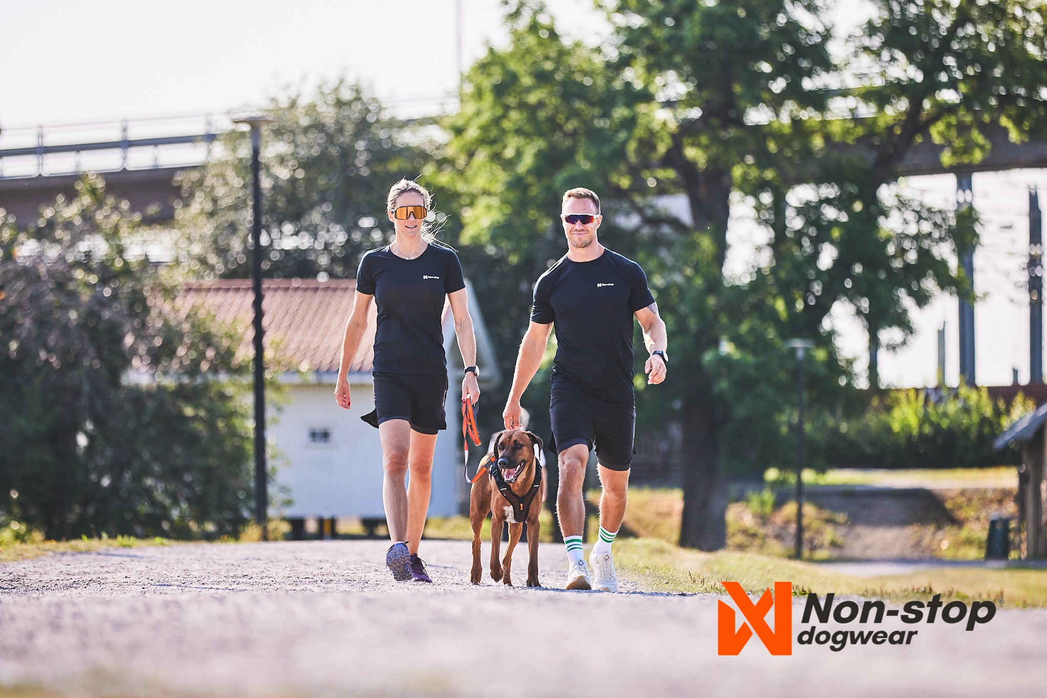 Non-Stop Dog Wear: Move Leash