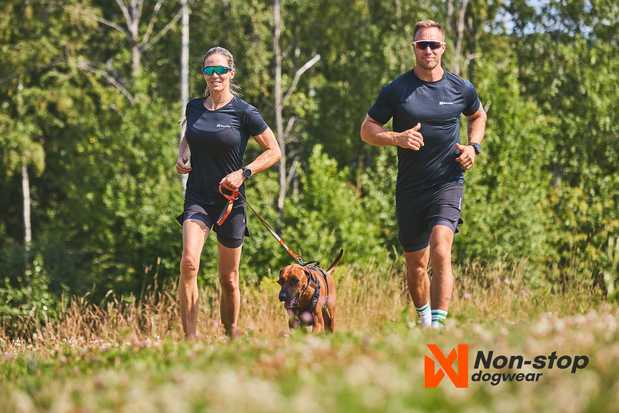 Non-Stop Dog Wear: Move Leash