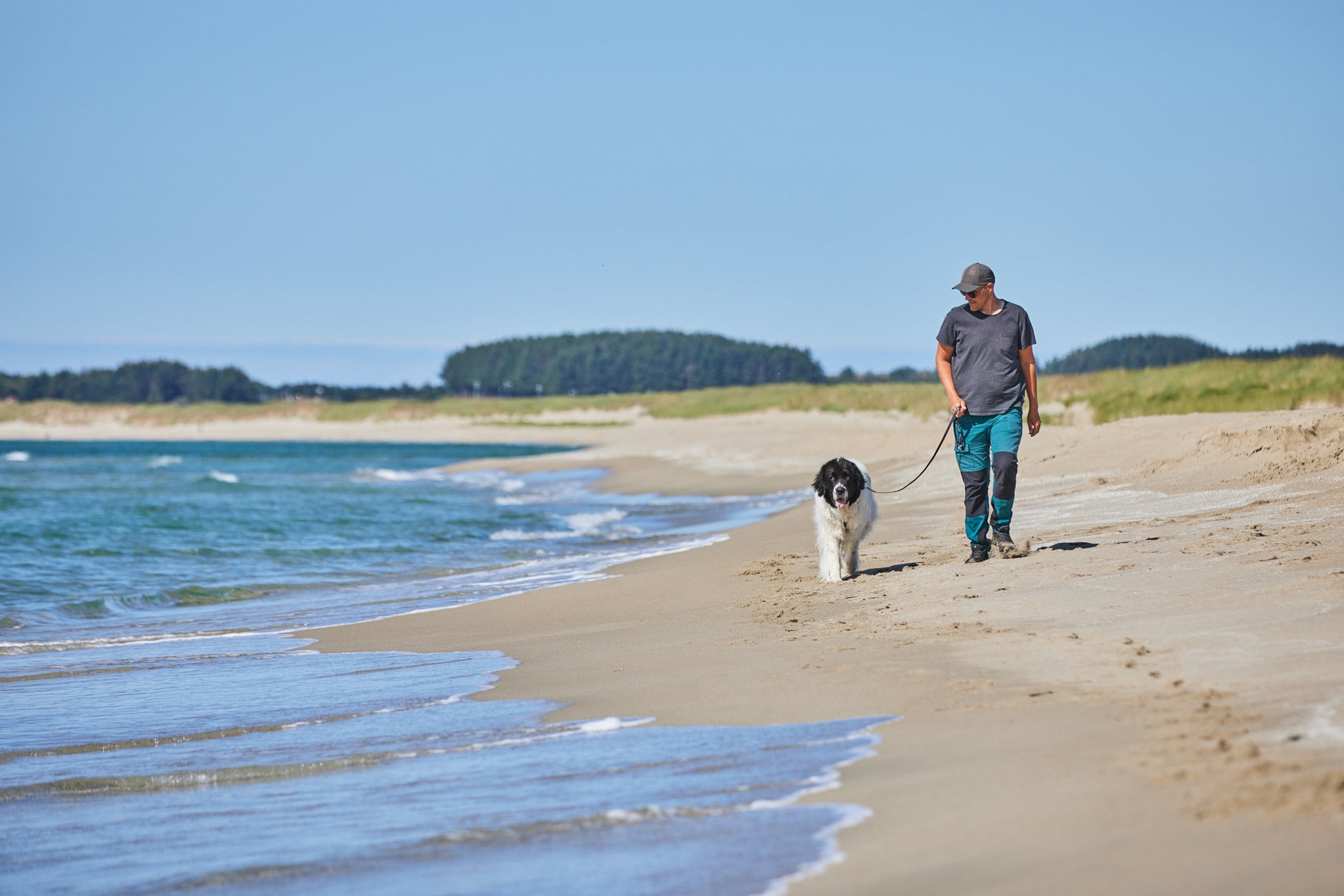 Non-Stop Dog Wear: Move Leash