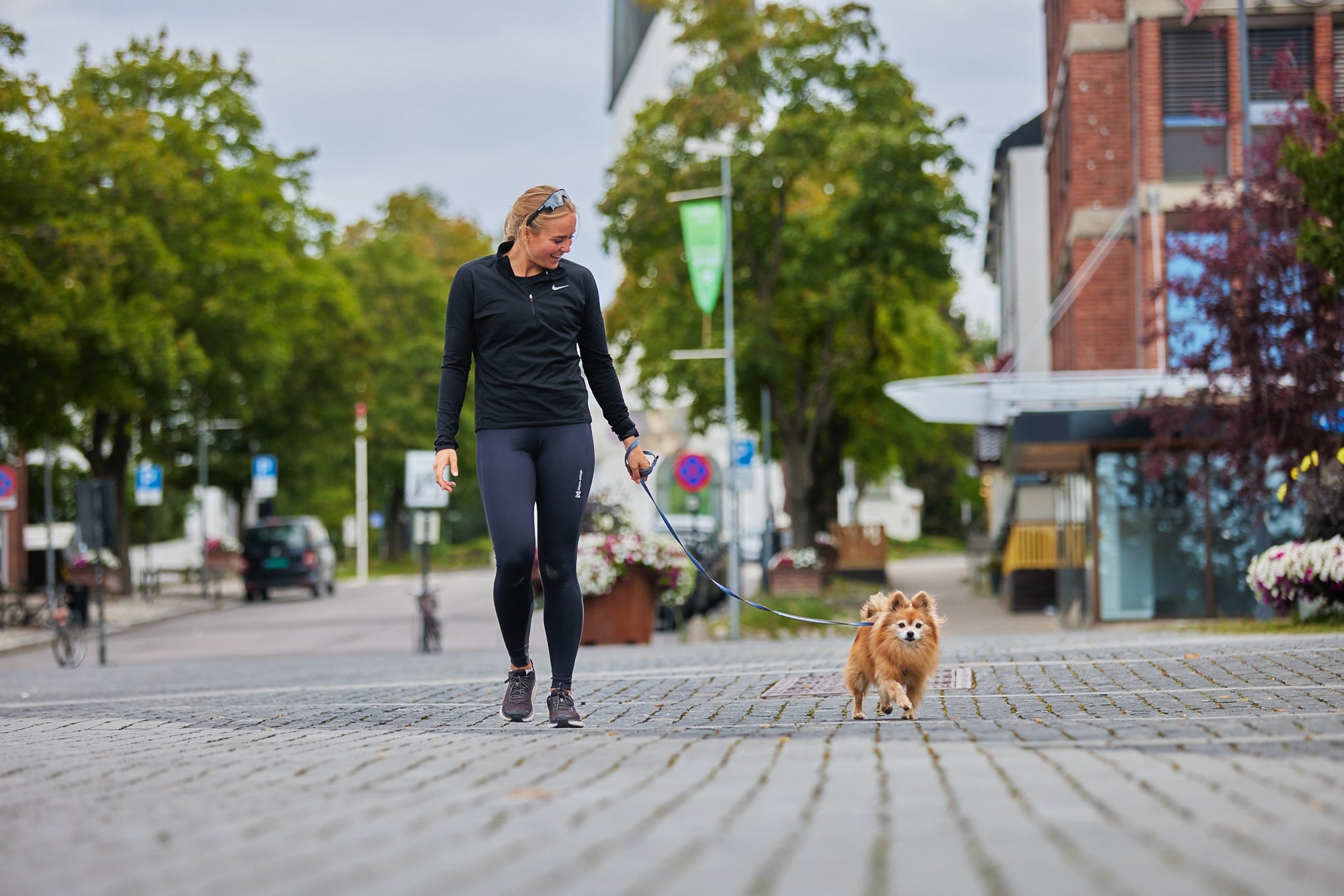 Non-Stop Dog Wear: Move Leash