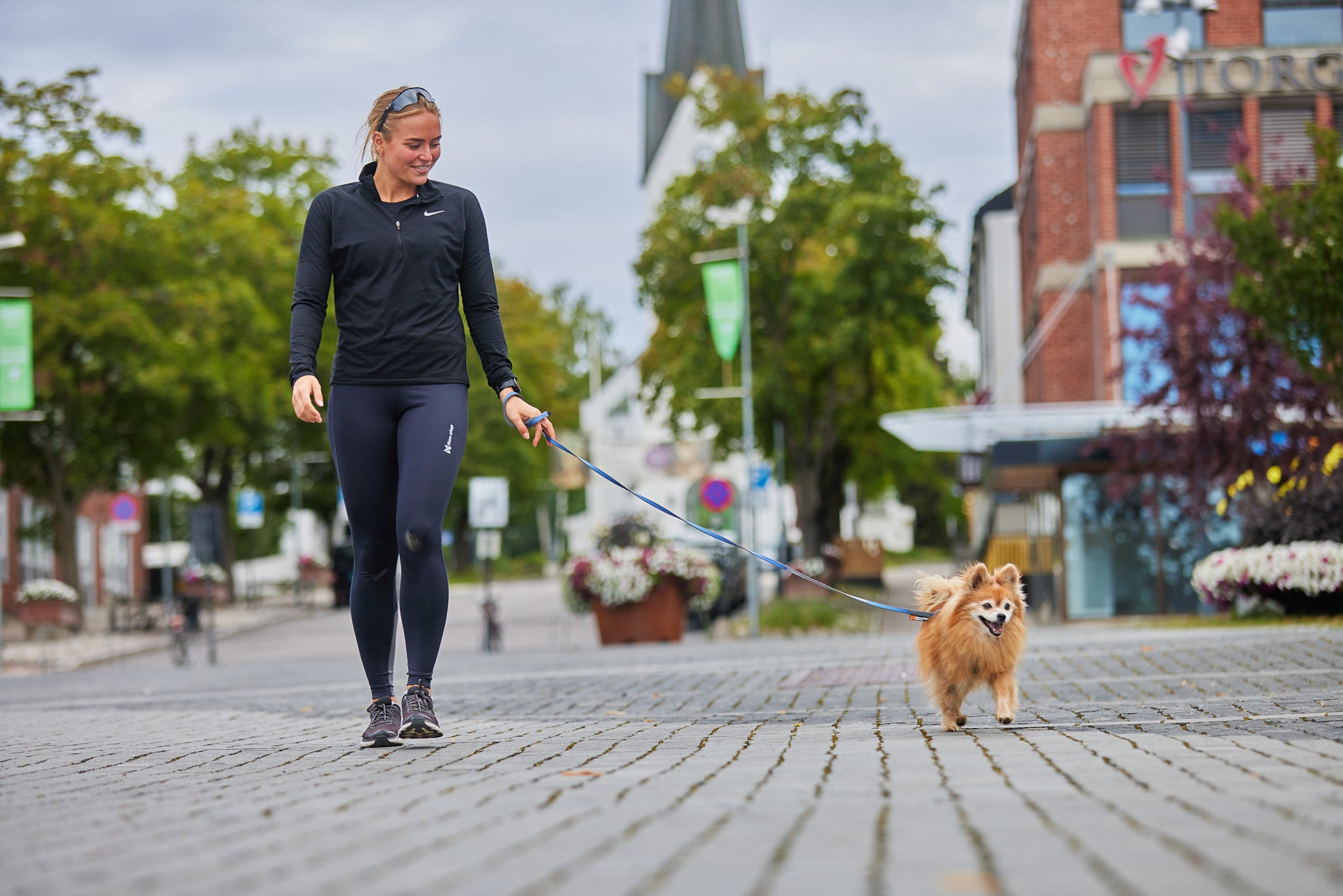 Non-Stop Dog Wear: Move Leash