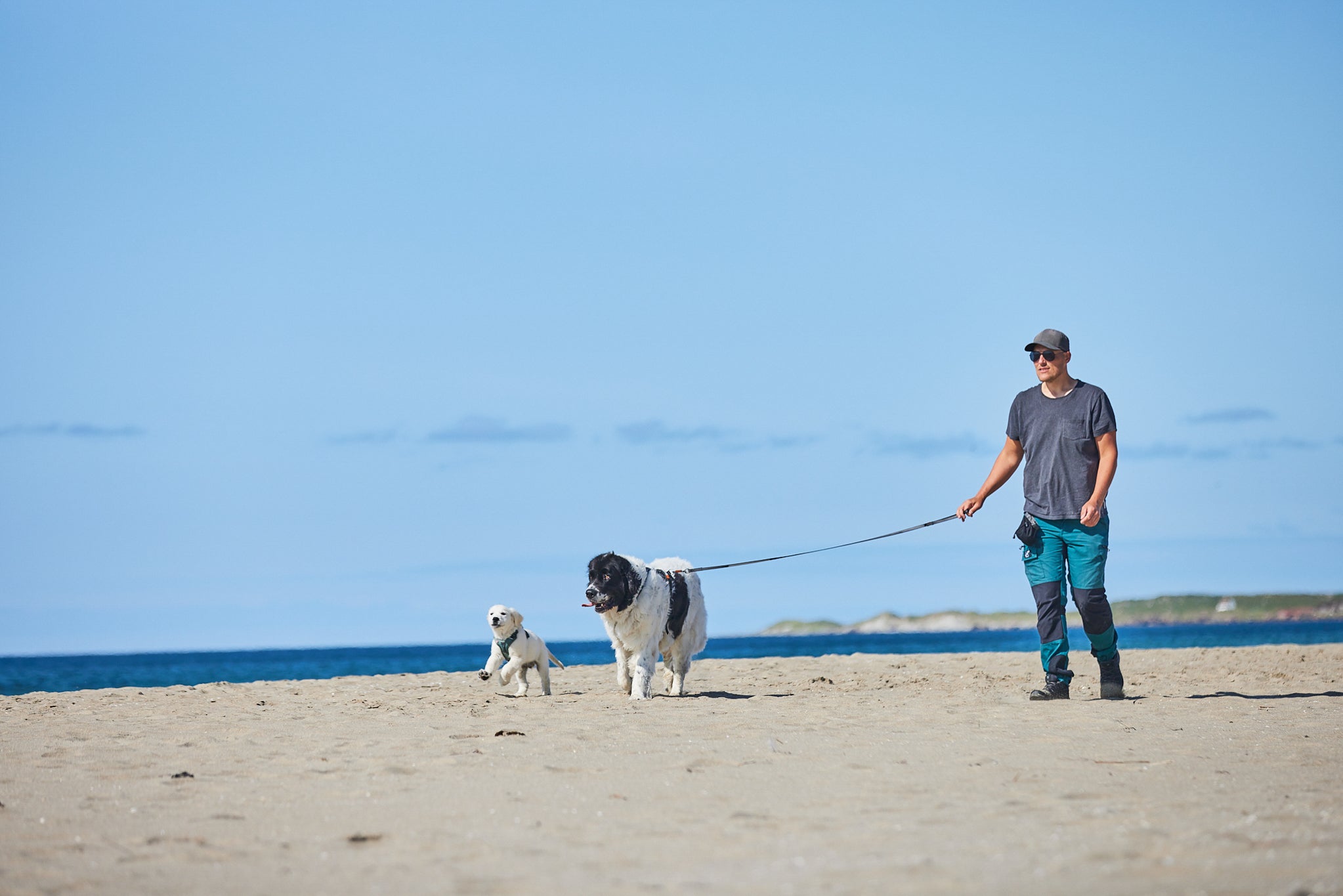 Non-Stop Dog Wear: Move Leash