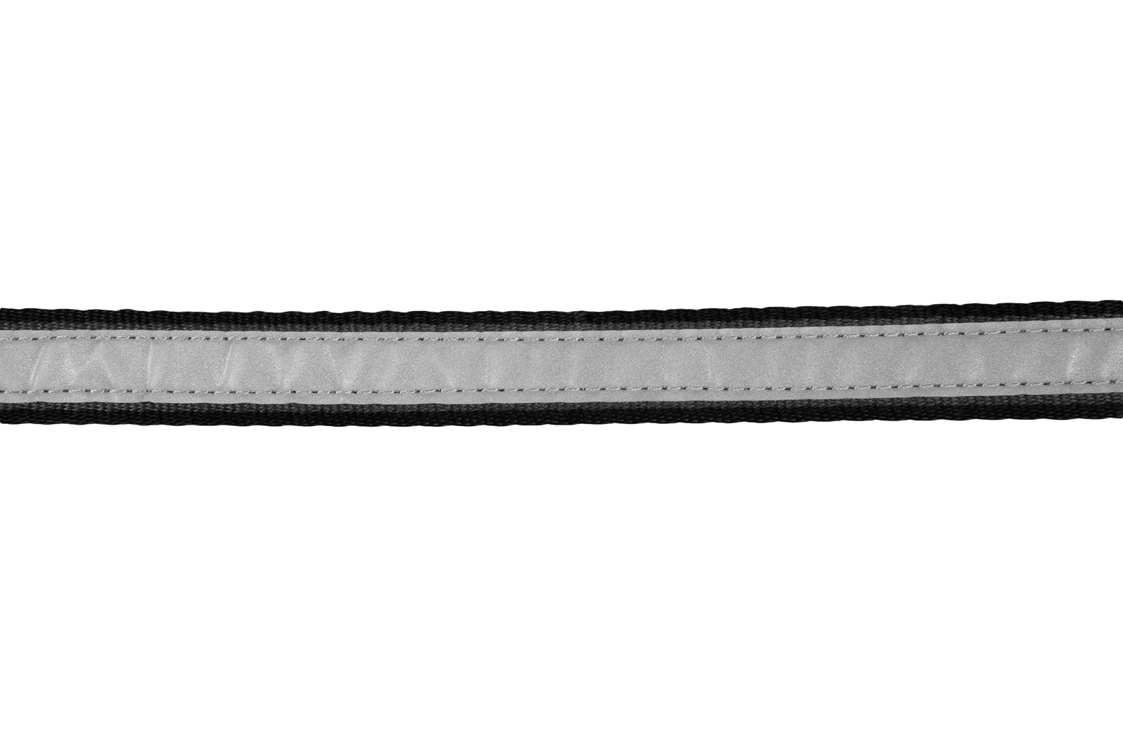 Non-Stop Dog Wear: Move Leash