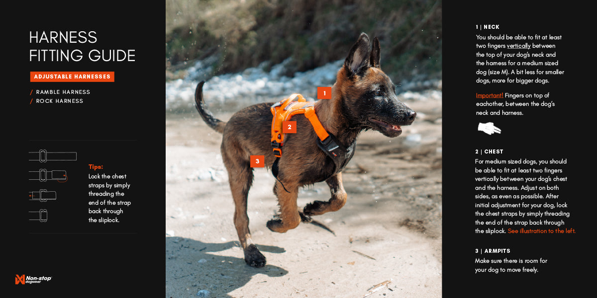 Non-Stop Dog Wear: Ramble Harness