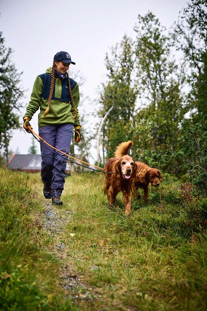 Non-Stop Dog Wear: Retriever Leash (slip lead)