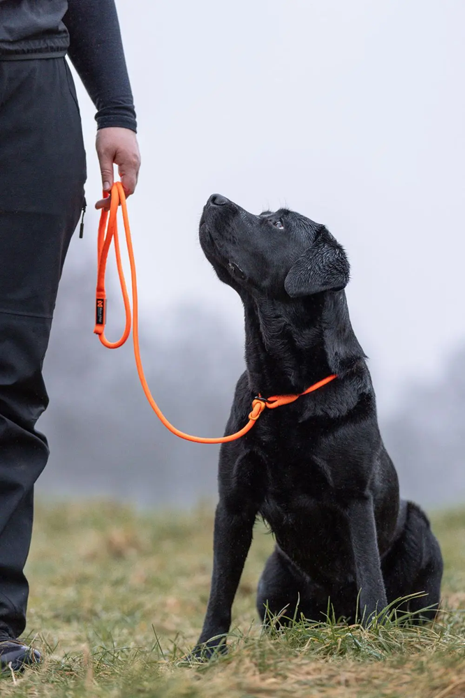 Non-Stop Dog Wear: Retriever Leash (slip lead)
