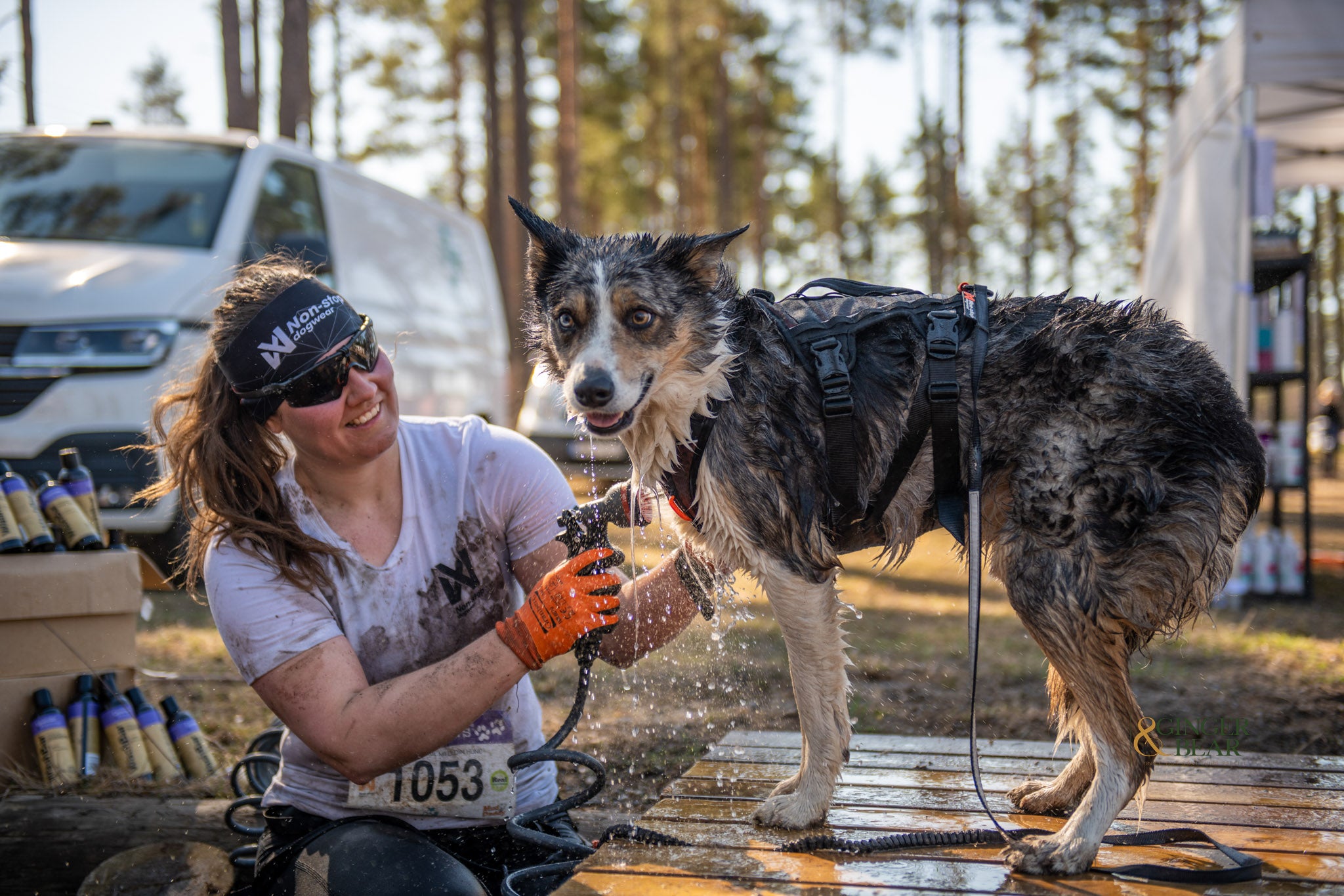 Non-Stop Dog Wear: Rock Harness Long