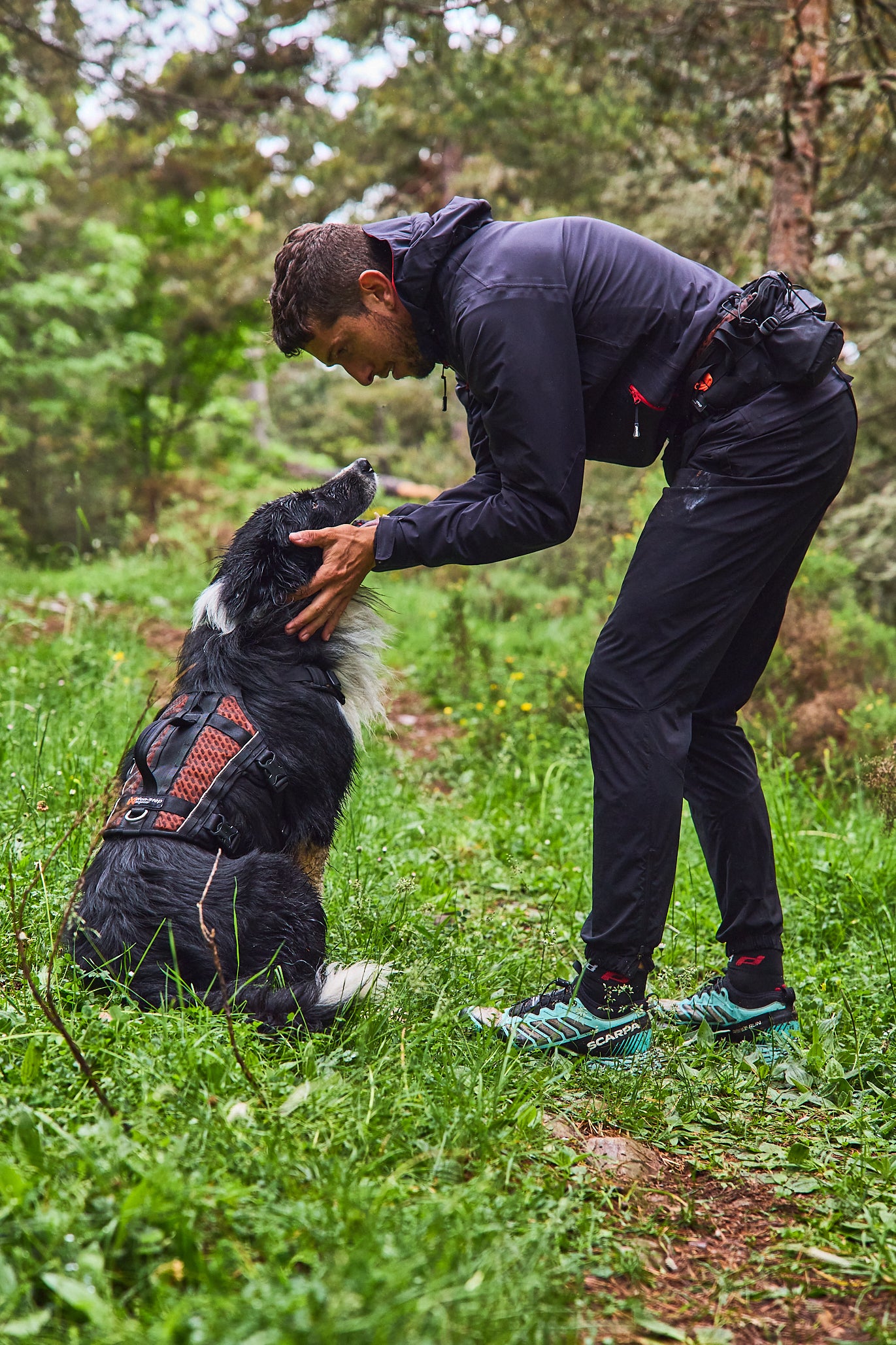 Non-Stop Dog Wear: Rock Harness Long