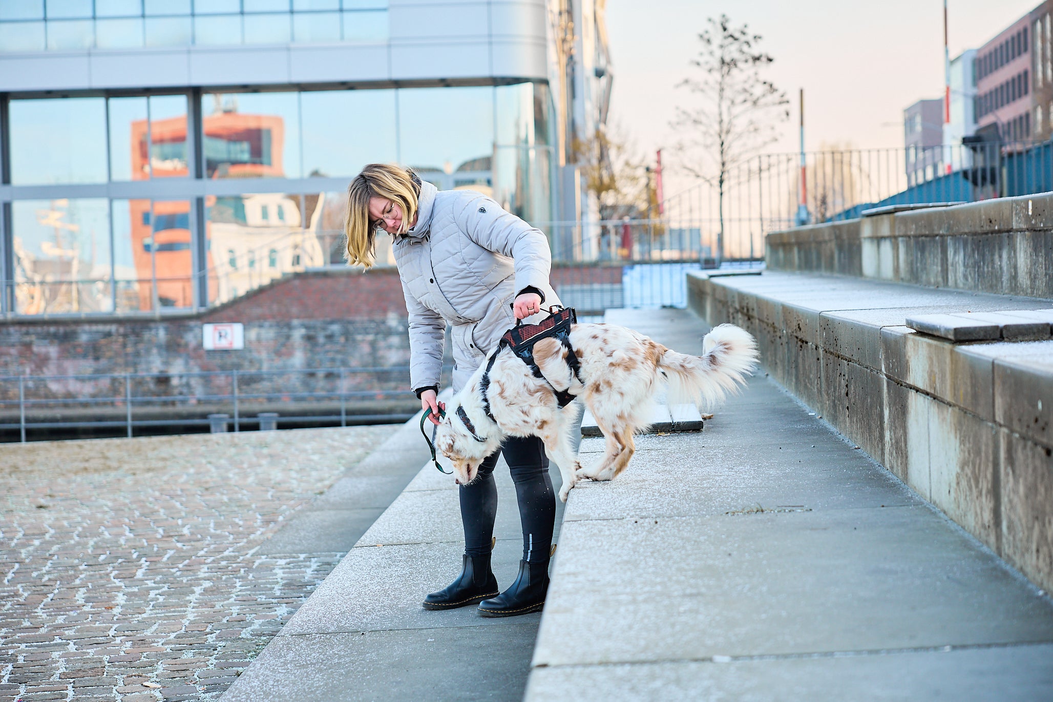 Non-Stop Dog Wear: Rock Harness Long