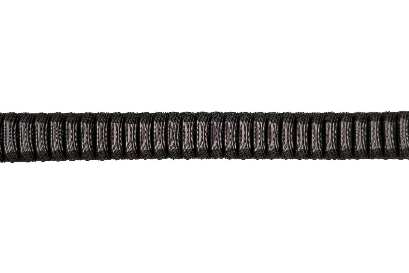 Non-Stop Dog Wear: Touring Bungee Adjustable Dog Leash