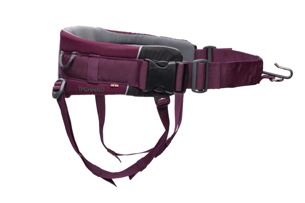Non-Stop Dog Wear: Trekking Belt 2.0