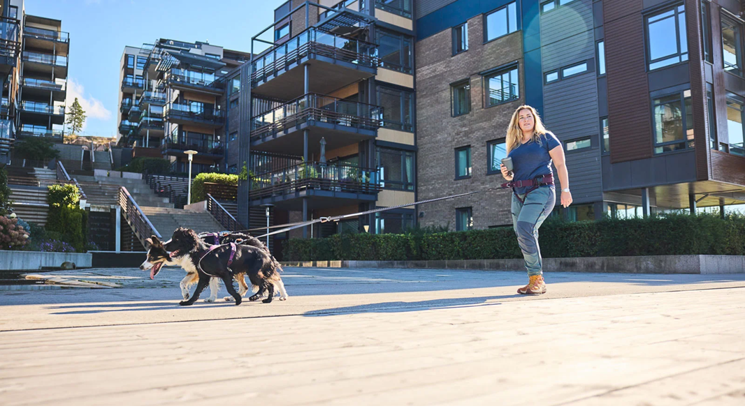 Non-Stop Dog Wear: Trekking Belt 2.0