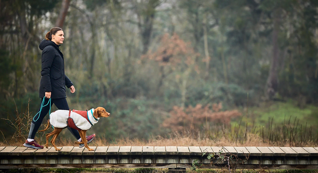 Non-Stop Dog Wear: Trekking Rope Leash