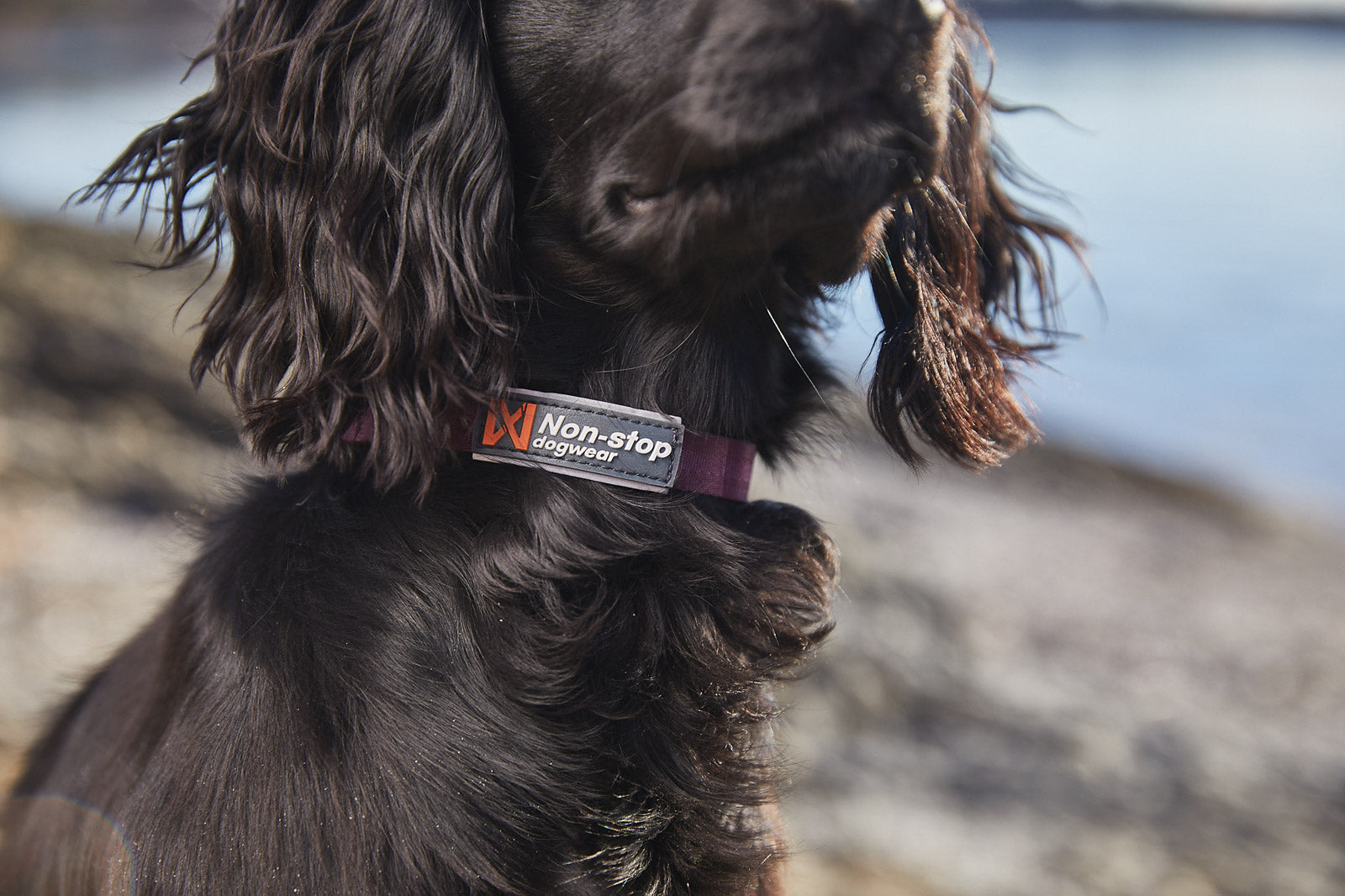 Non-Stop Dog Wear: Tumble collar