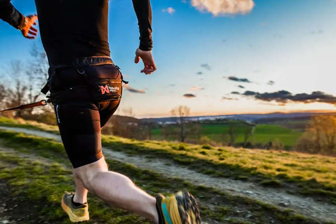 Non-Stop Dog Wear: Canix Belt 2.0