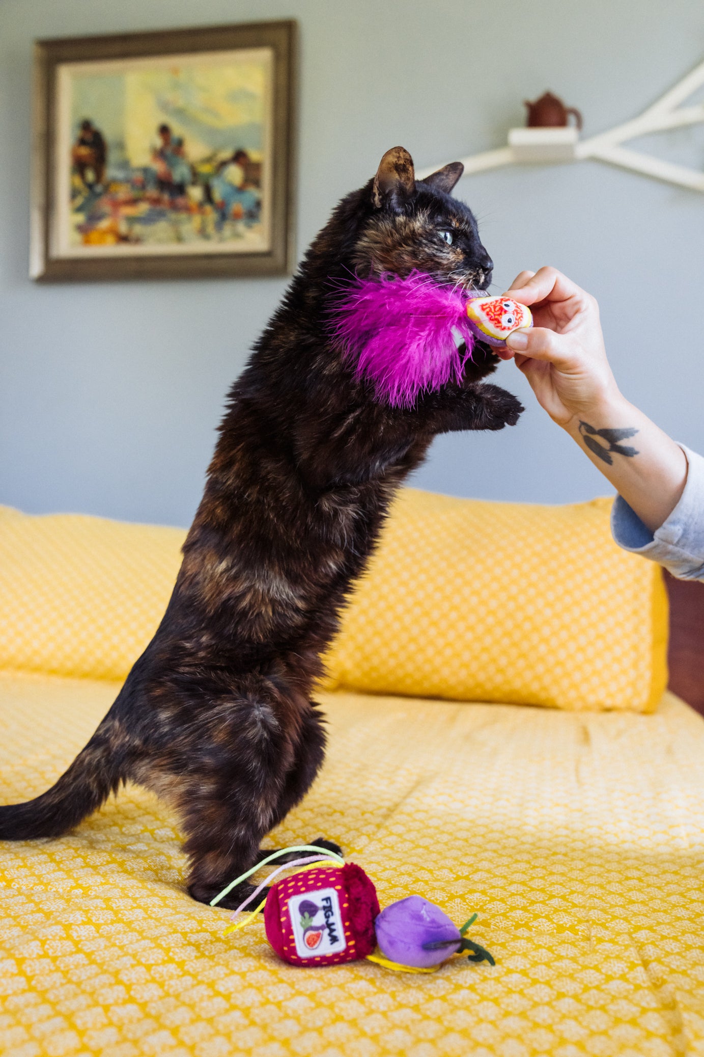 P.L.A.Y. Feline Frenzy, Catnip Toy set: Fig N' Whiskers