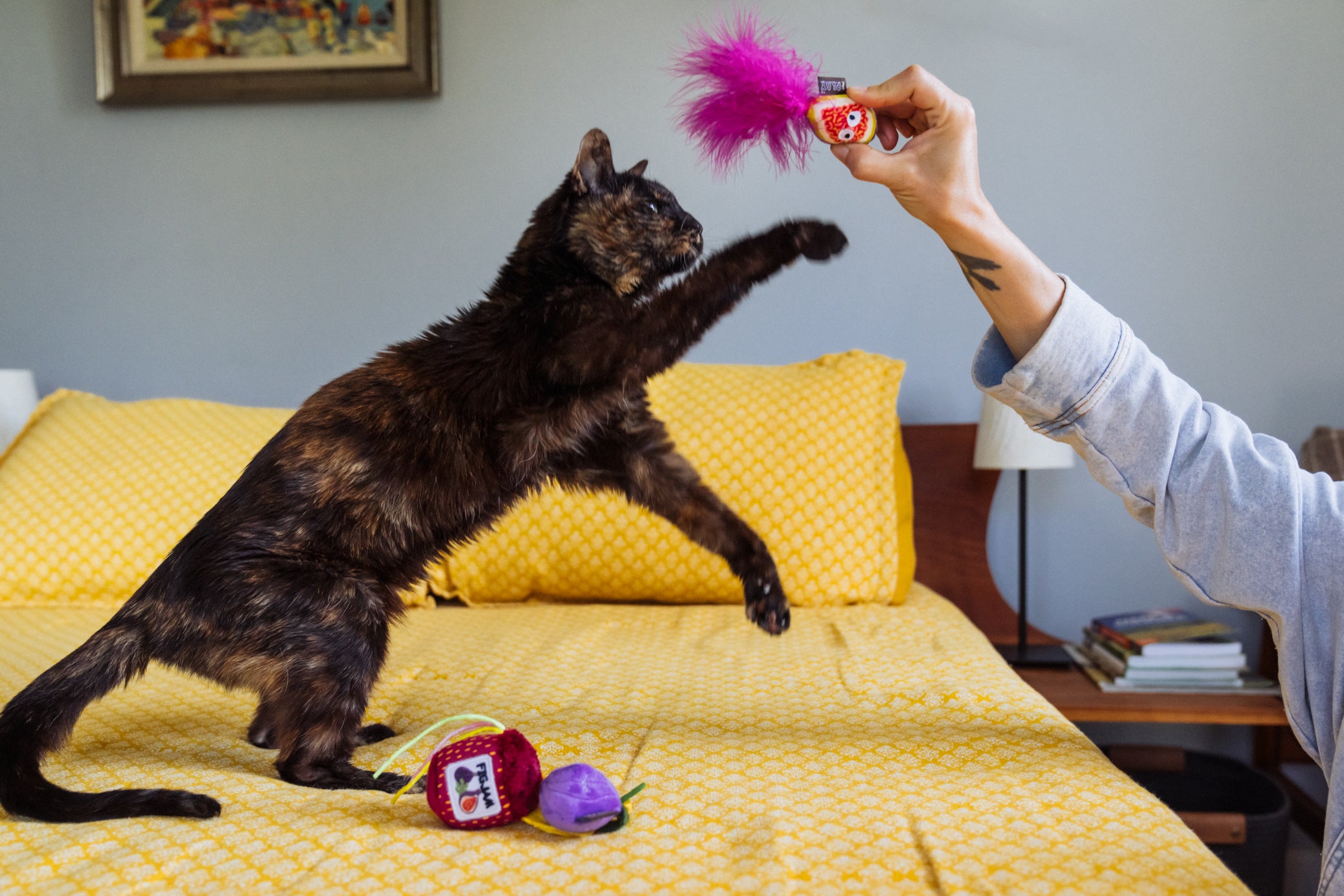 P.L.A.Y. Feline Frenzy, Catnip Toy set: Fig N' Whiskers