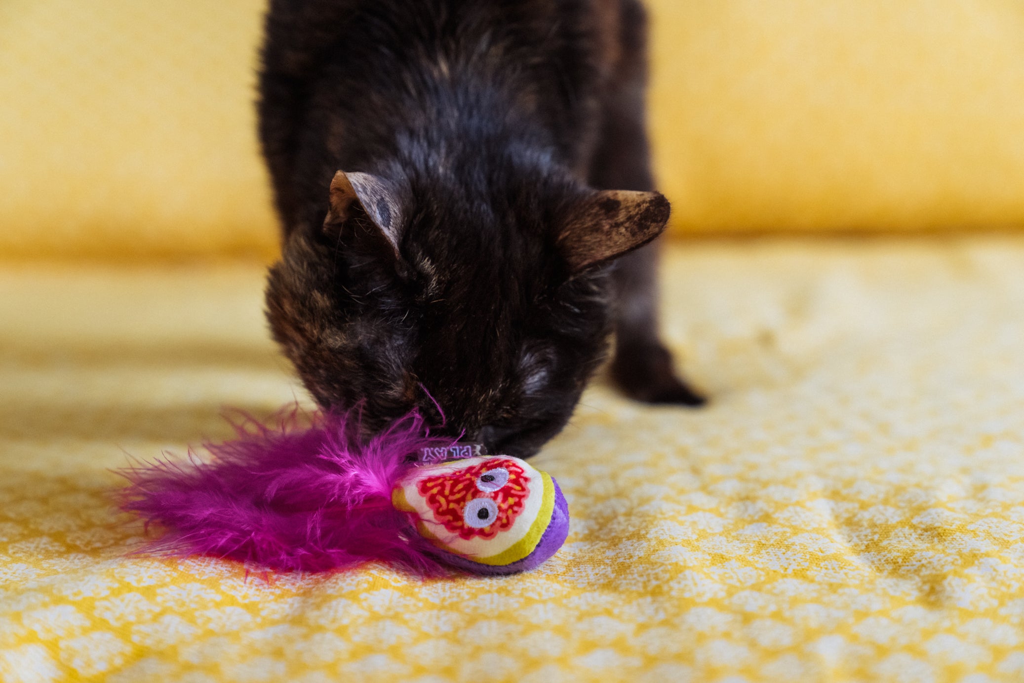 P.L.A.Y. Feline Frenzy, Catnip Toy set: Fig N' Whiskers