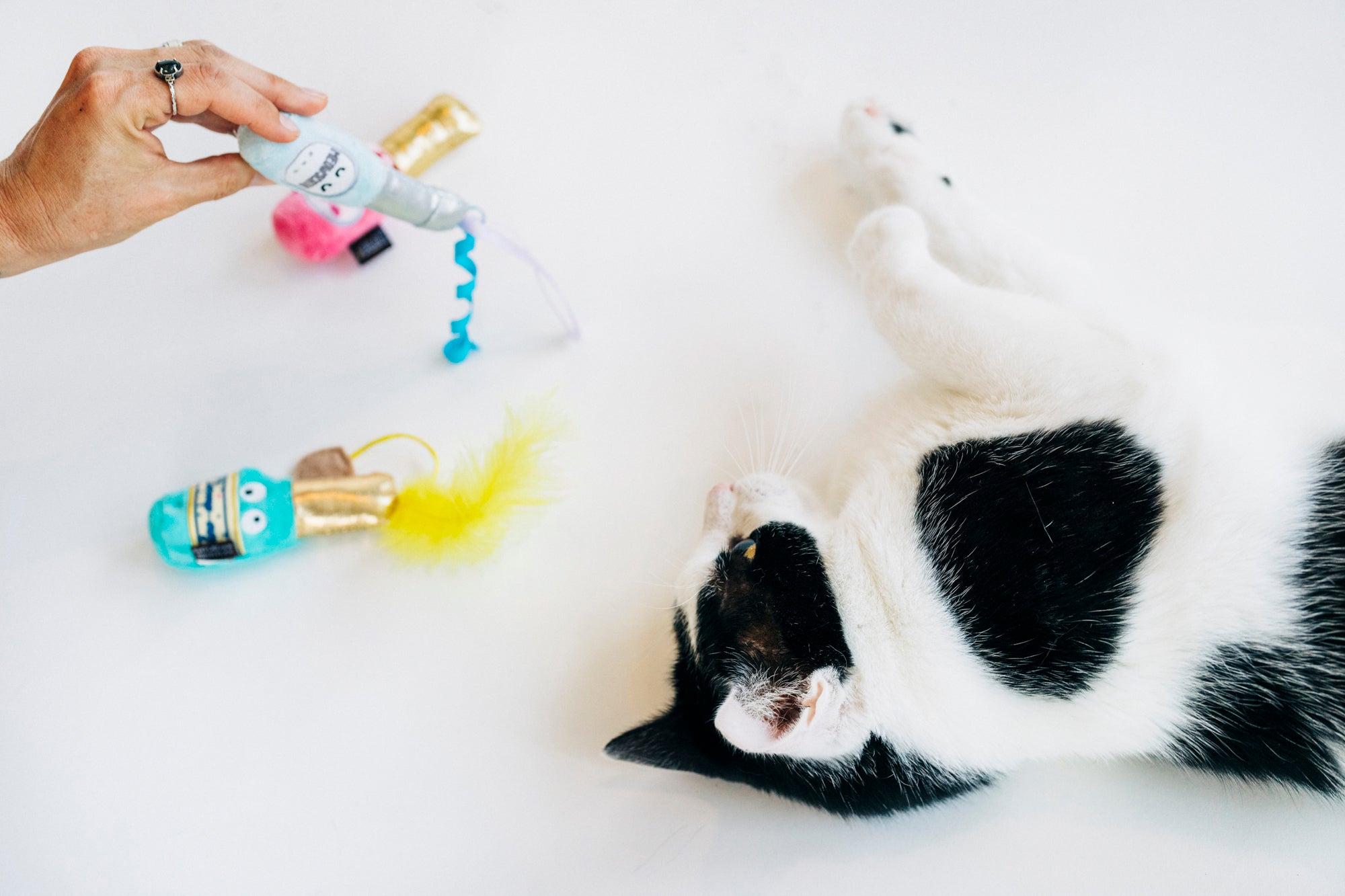 P.L.A.Y. Feline Frenzy, Catnip Toy set: Pop, Fizz, Meow