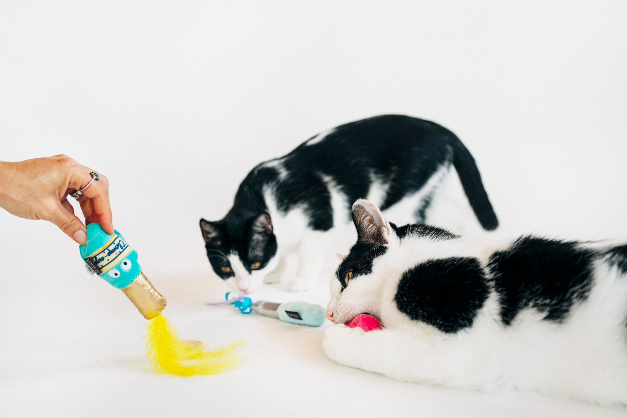 P.L.A.Y. Feline Frenzy, Catnip Toy set: Pop, Fizz, Meow