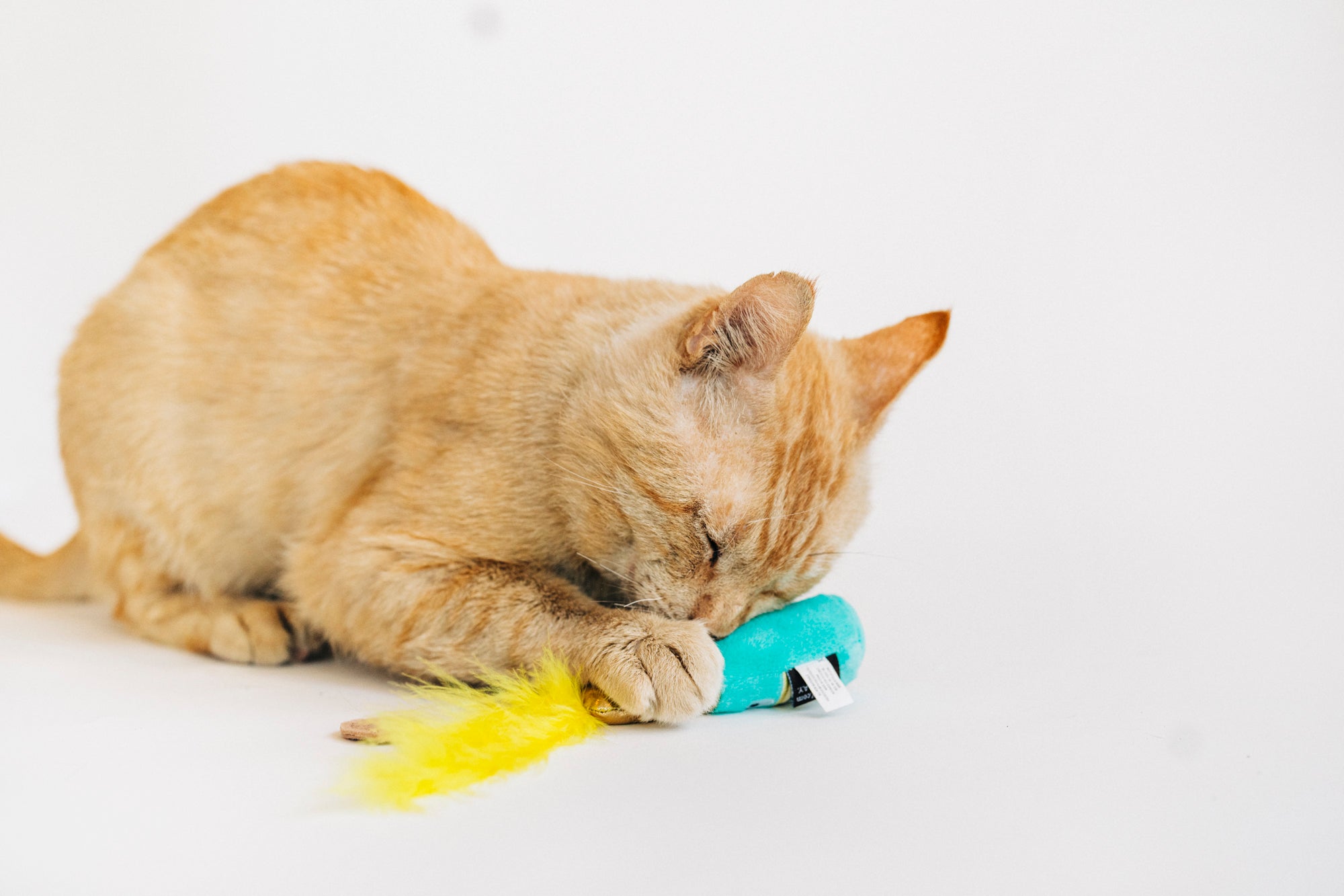 P.L.A.Y. Feline Frenzy, Catnip Toy set: Pop, Fizz, Meow