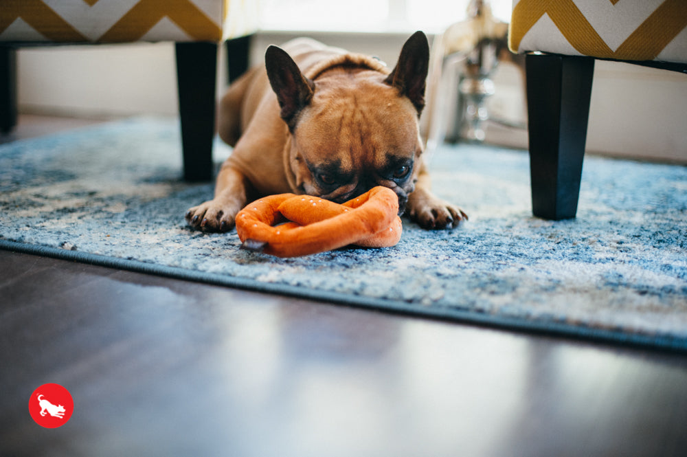 P.L.A.Y. The International Classic Squeaky Plush Dog Toy, Pretzel