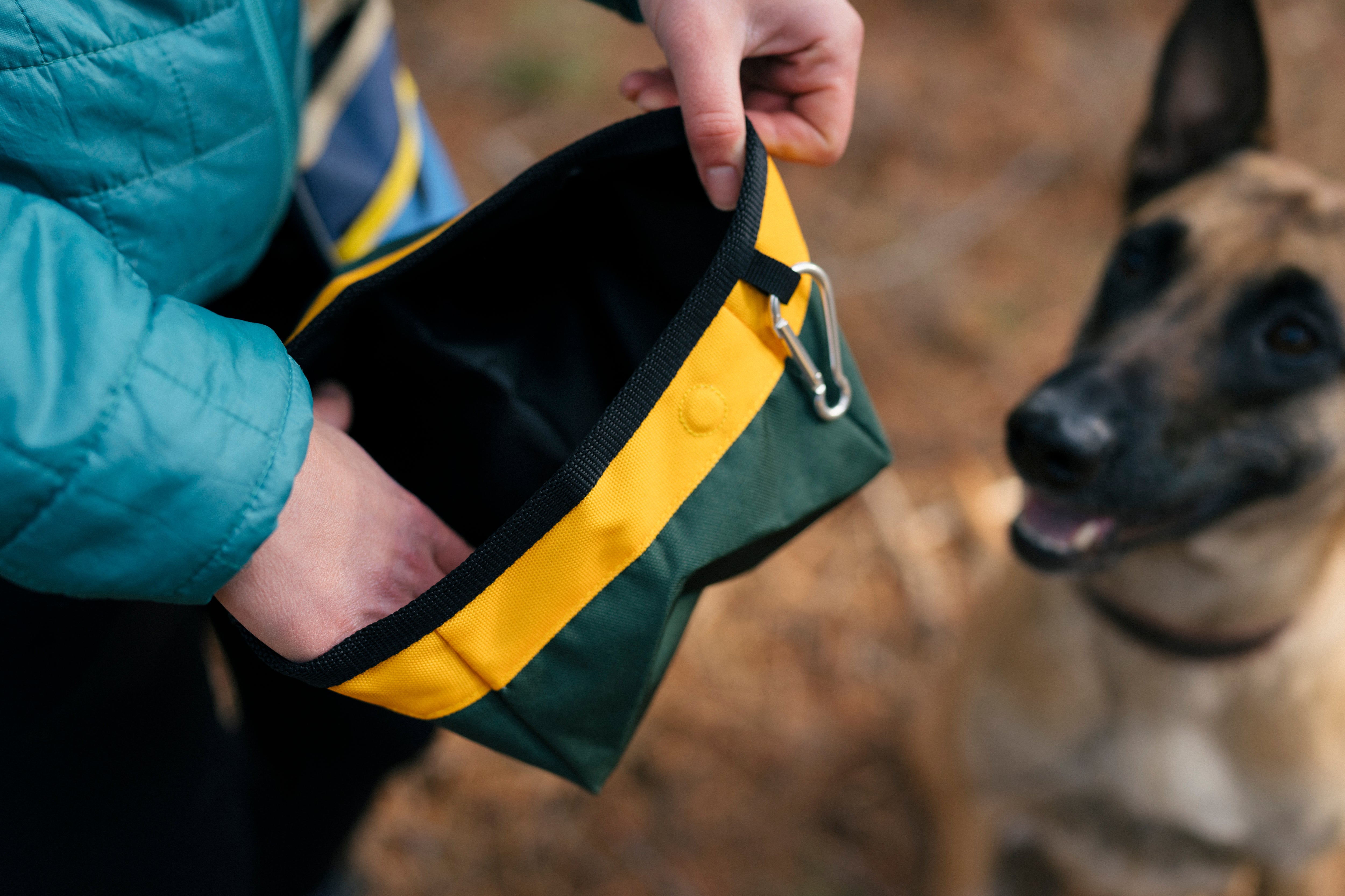 P.L.A.Y. Landscape Dog Travel Bowl