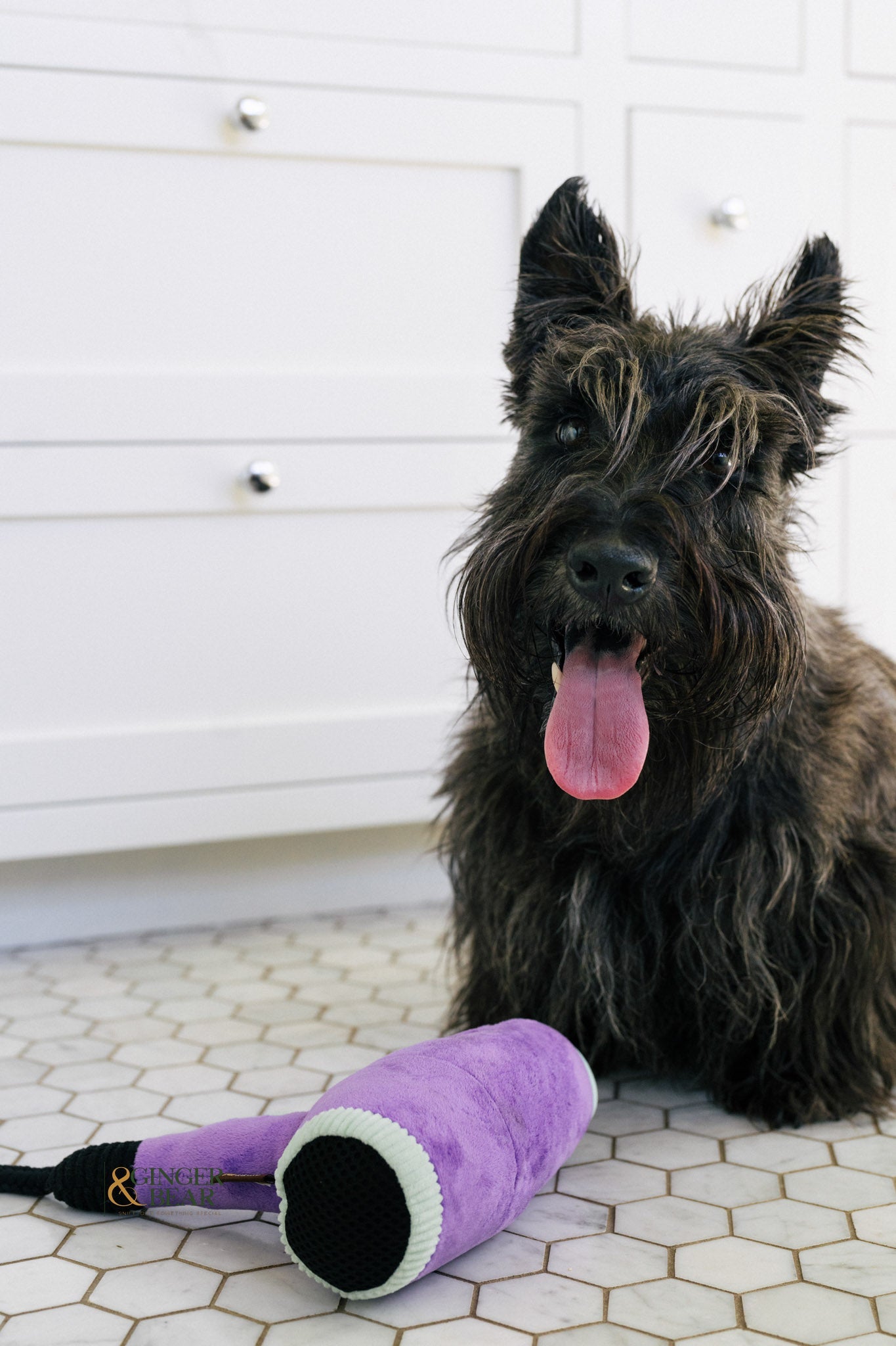 P.L.A.Y. Splish Splash Squeaky Plush Dog toys, Howlin' Hair Dryer