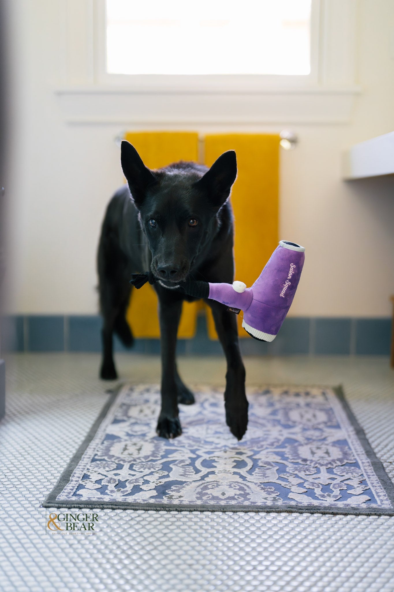 P.L.A.Y. Splish Splash Squeaky Plush Dog toys, Howlin' Hair Dryer