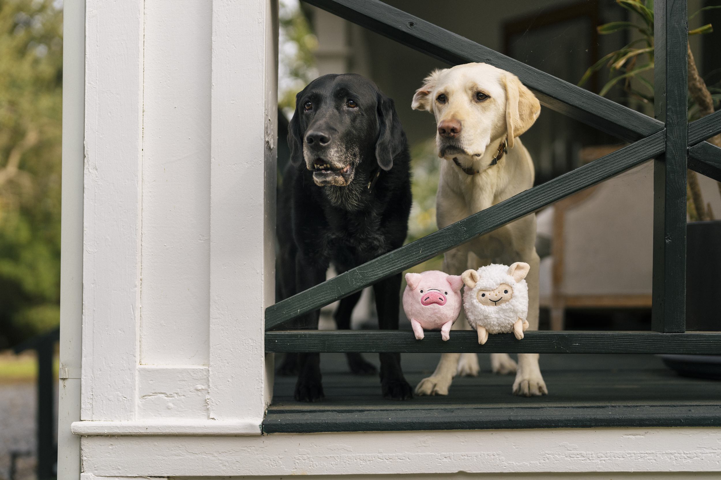 P.L.A.Y. Barnyard Buddies Squeaky Plush Dog Toy, Sadie the Sheep