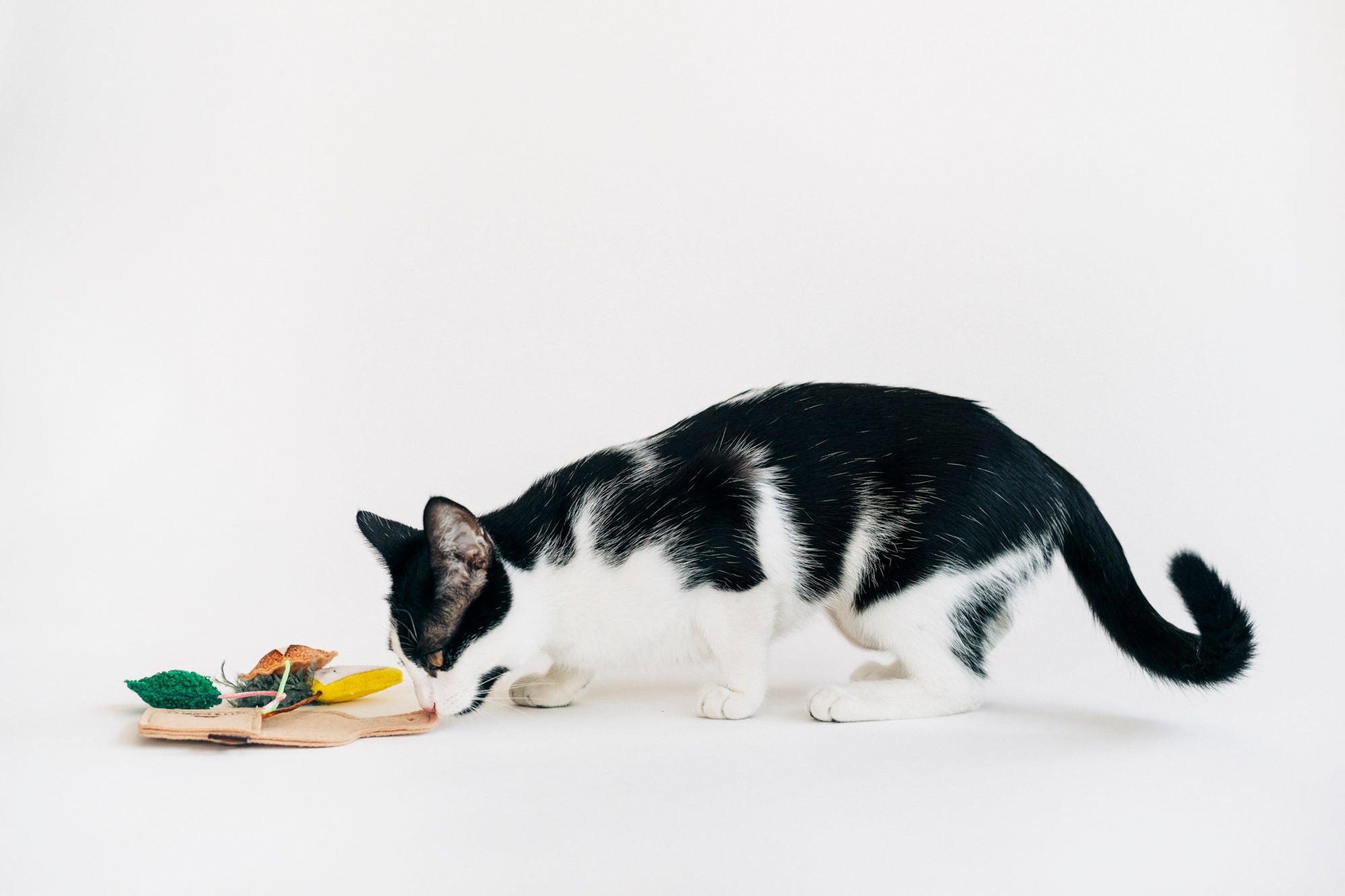 P.L.A.Y. Feline Frenzy, Catnip Toy set: Purrfect Pairings