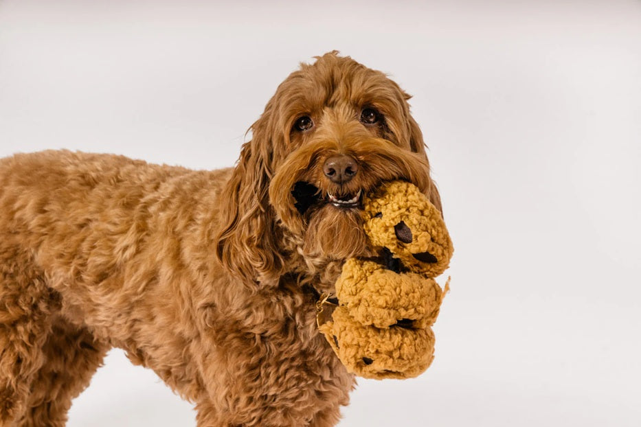 P.L.A.Y. Pup Cup Cafe Squeaky Plush Dog toys, Cookies n' Treats (mini sized)