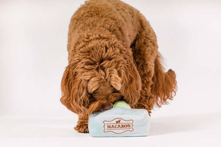 P.L.A.Y. Pup Cup Cafe Squeaky Plush Dog toys, Mutt-a-rons (mini sized)