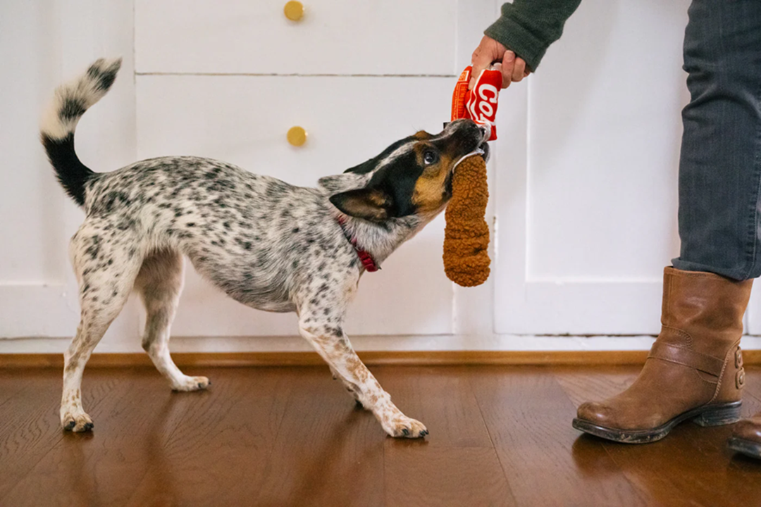 P.L.A.Y. Snack Attack Squeaky Plush Dog toys, Good Boy Cola (mini sized)