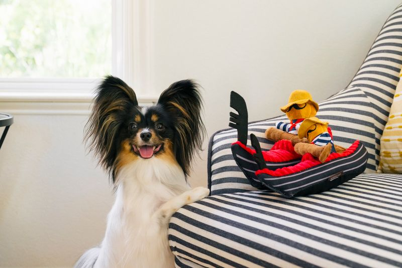 P.L.A.Y. Totally Touristy Squeaky Plush Dog toys, Gondola of Venice