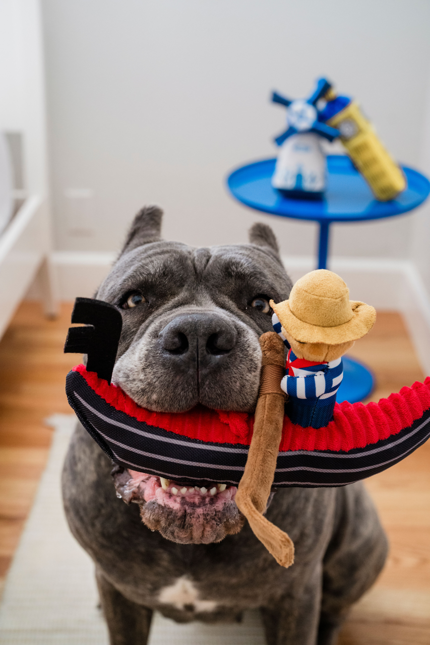 P.L.A.Y. Totally Touristy Squeaky Plush Dog toys, Gondola of Venice