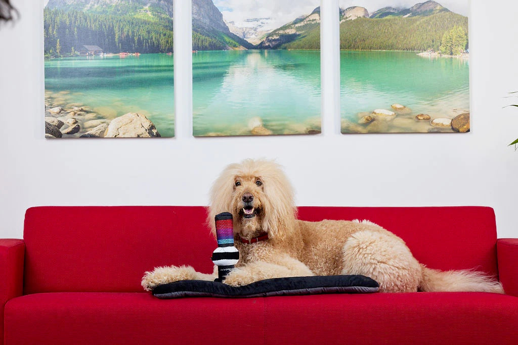 P.L.A.Y. x HyperX Squeaky Plush Dog toys, PAWdcast Microphone