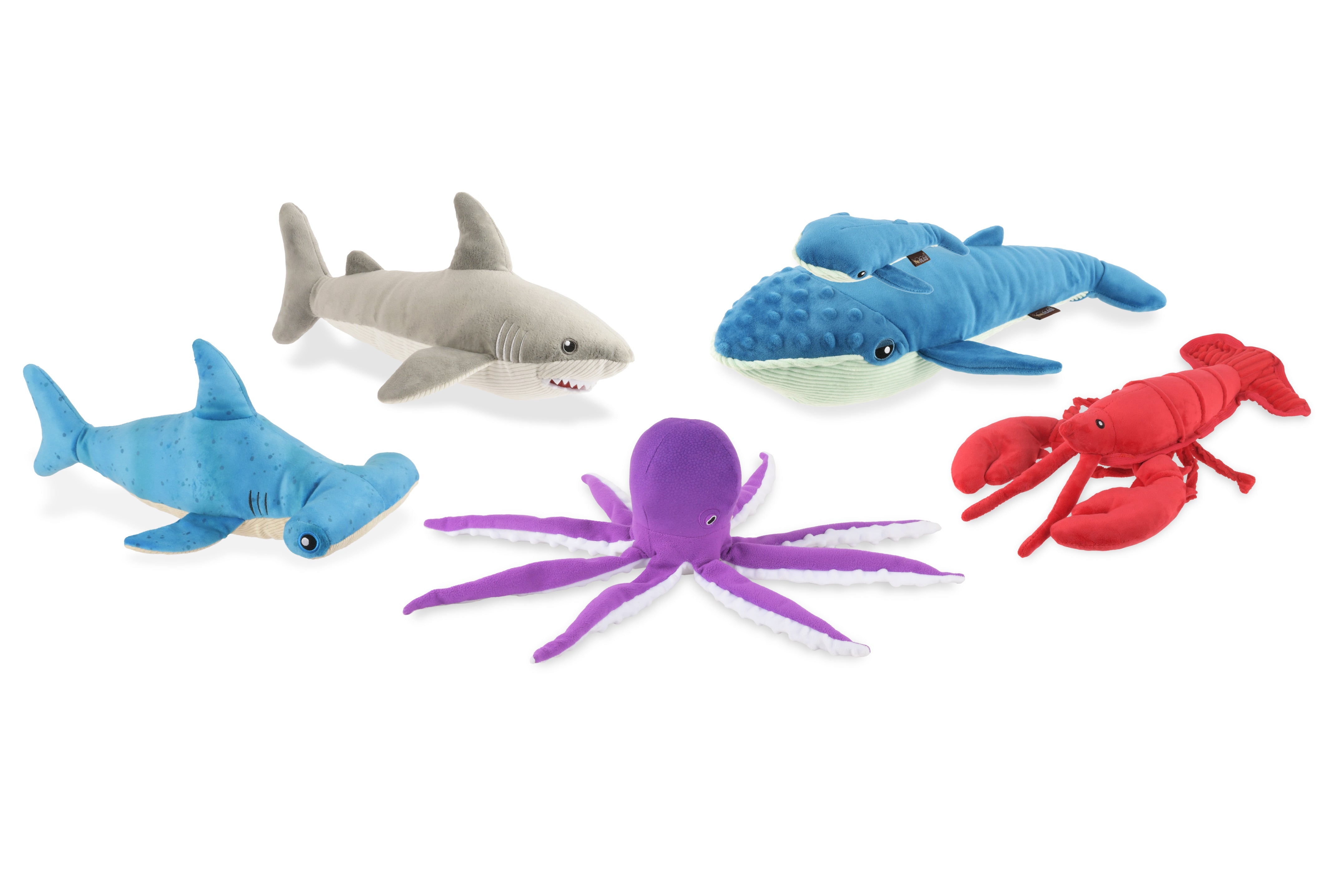 P.L.A.Y. Ocean Buddies : Interactive Squeaky & Crinkle Dog Toy