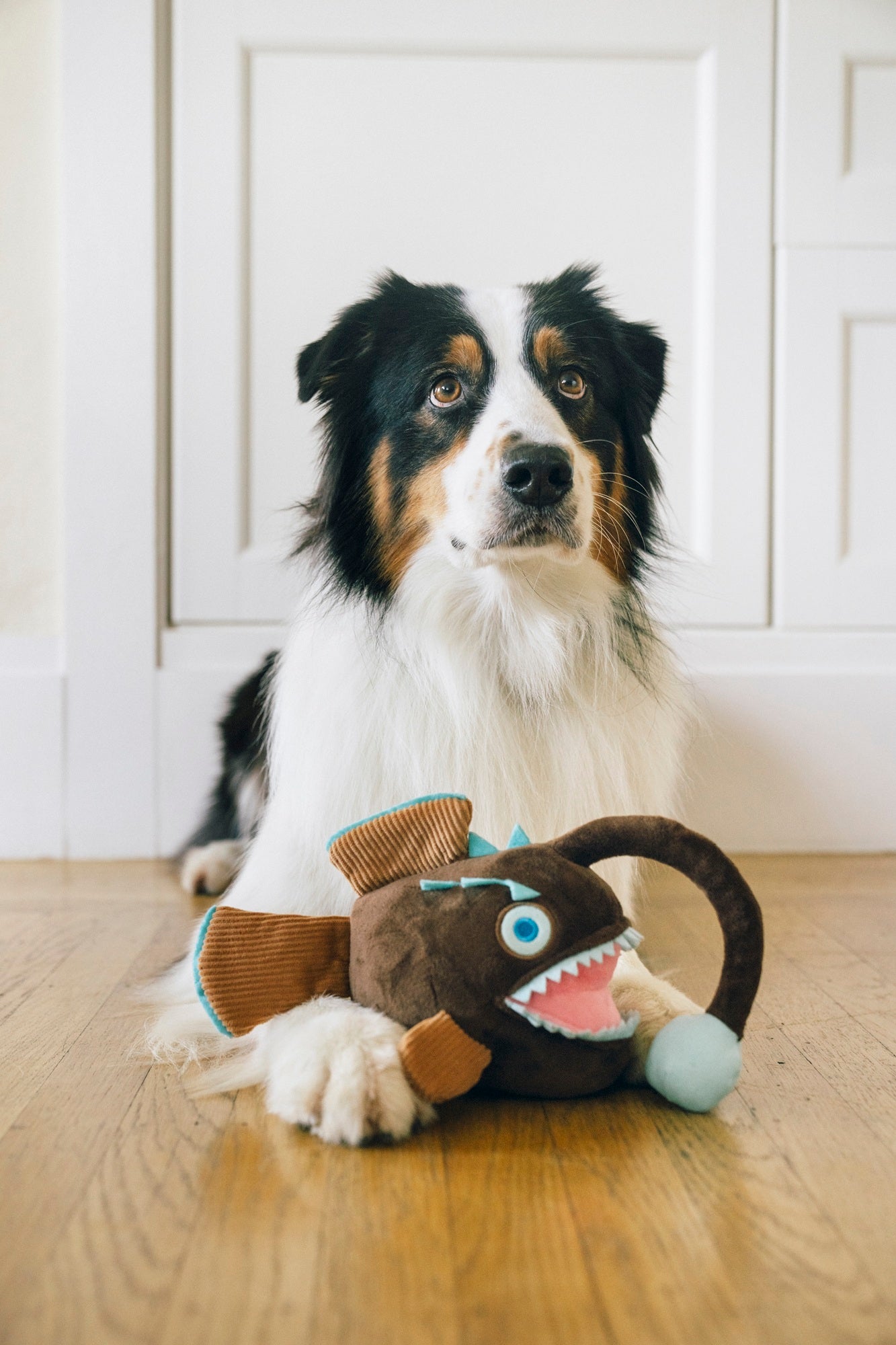 P.L.A.Y. Ocean Buddies Angler Fish squeaky & rope plush dog toy with a glowing lure detail.