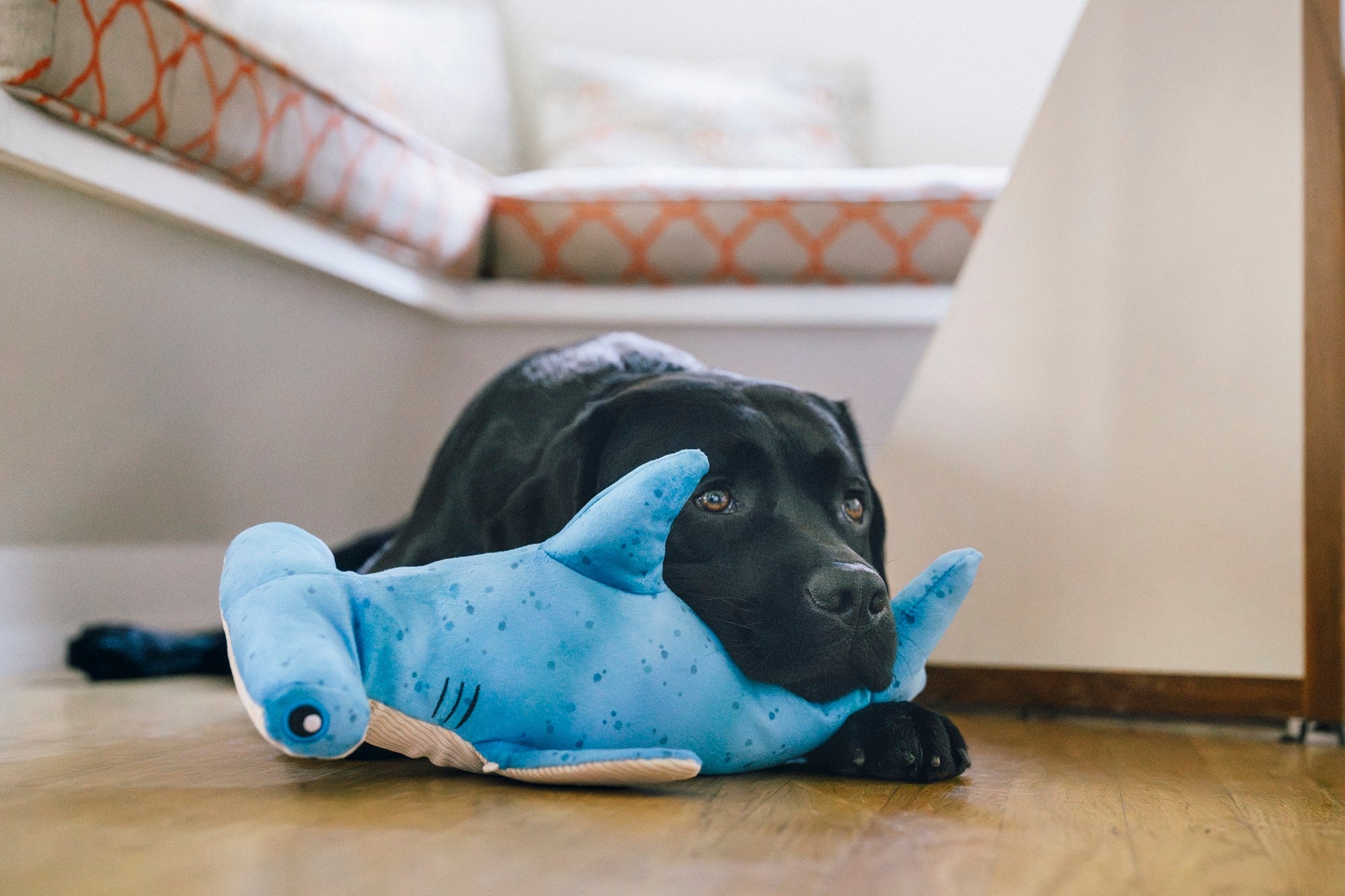 P.L.A.Y. Ocean Buddies Bonk the Hammerhead shark interactive plush dog toy with hidden treat pocket