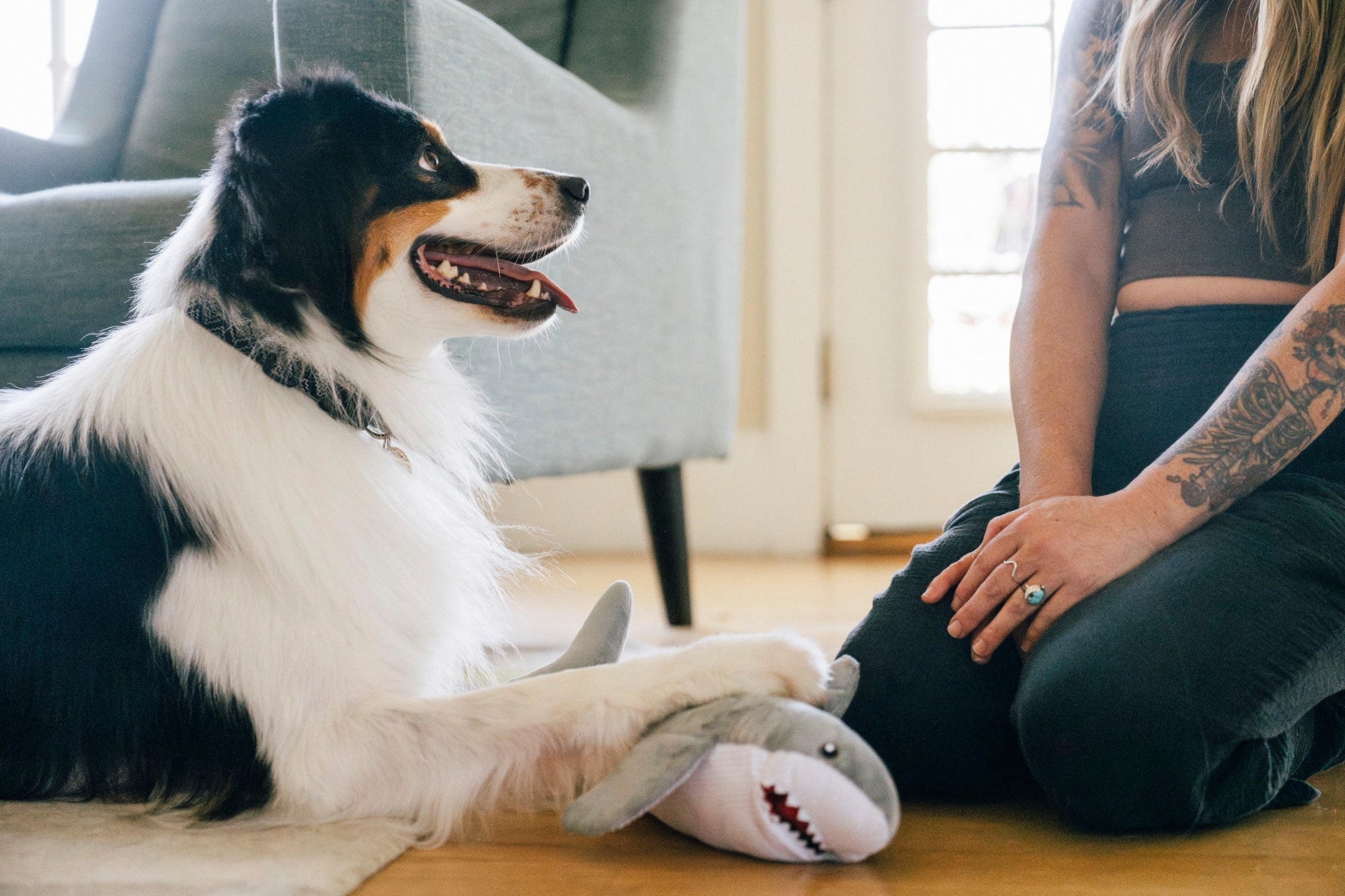 P.L.A.Y. Ocean Buddies Great White Gabe shark interactive squeaky plush dog toy with hidden treat pocket
