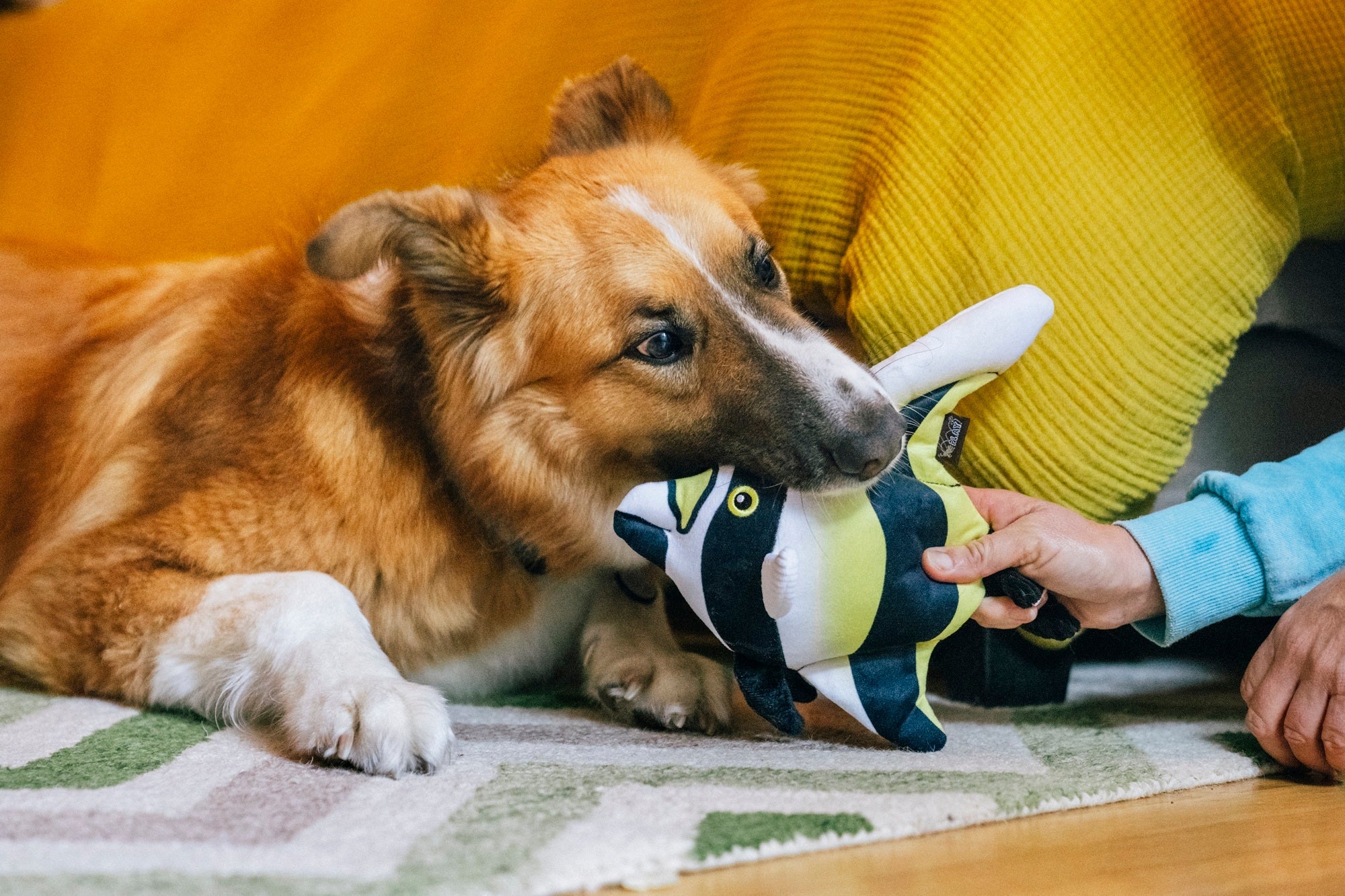 P.L.A.Y. Ocean Buddies Moorish Idol colourful tropical fish interactive squeaky plush dog toy with yellow, black, and white stripes.