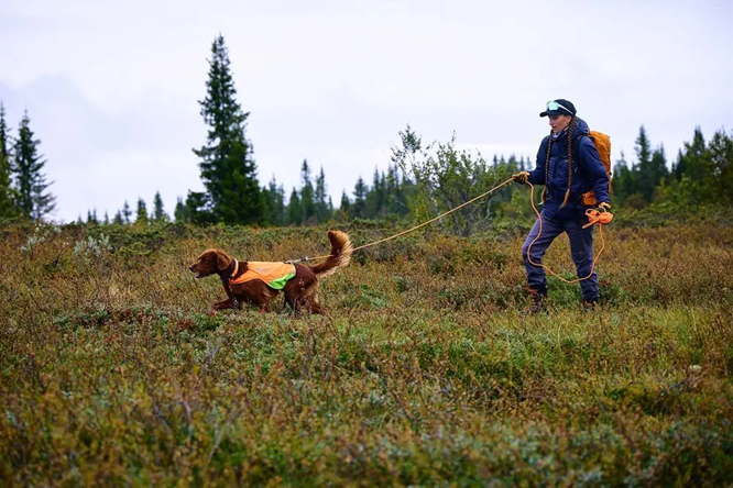 Non-Stop Dog Wear: Protector Round Long Line