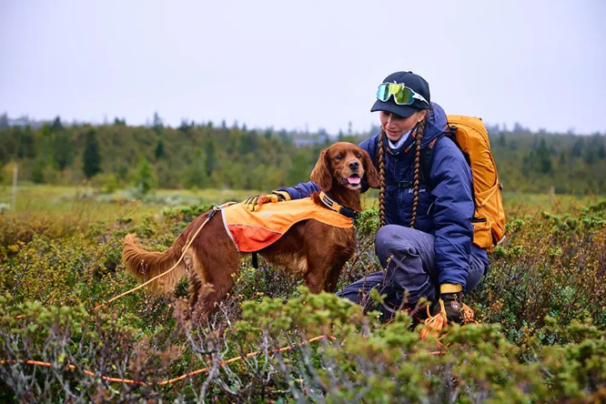Non-Stop Dog Wear: Protector Round Long Line