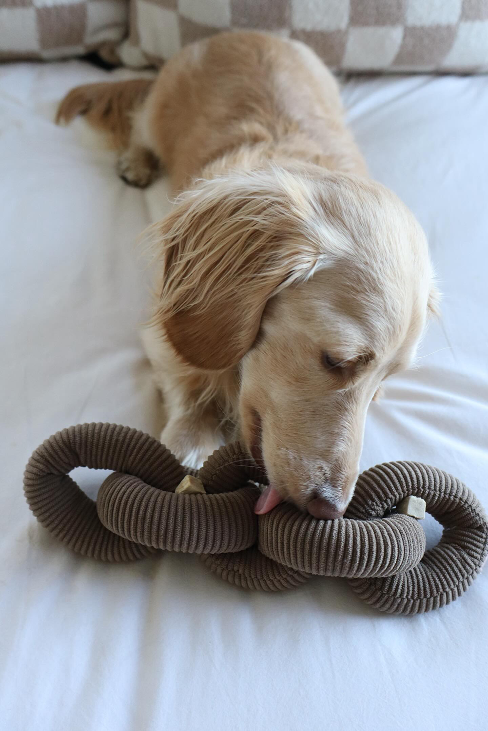 Pruff Pets Plush Dog Toy: Many Links