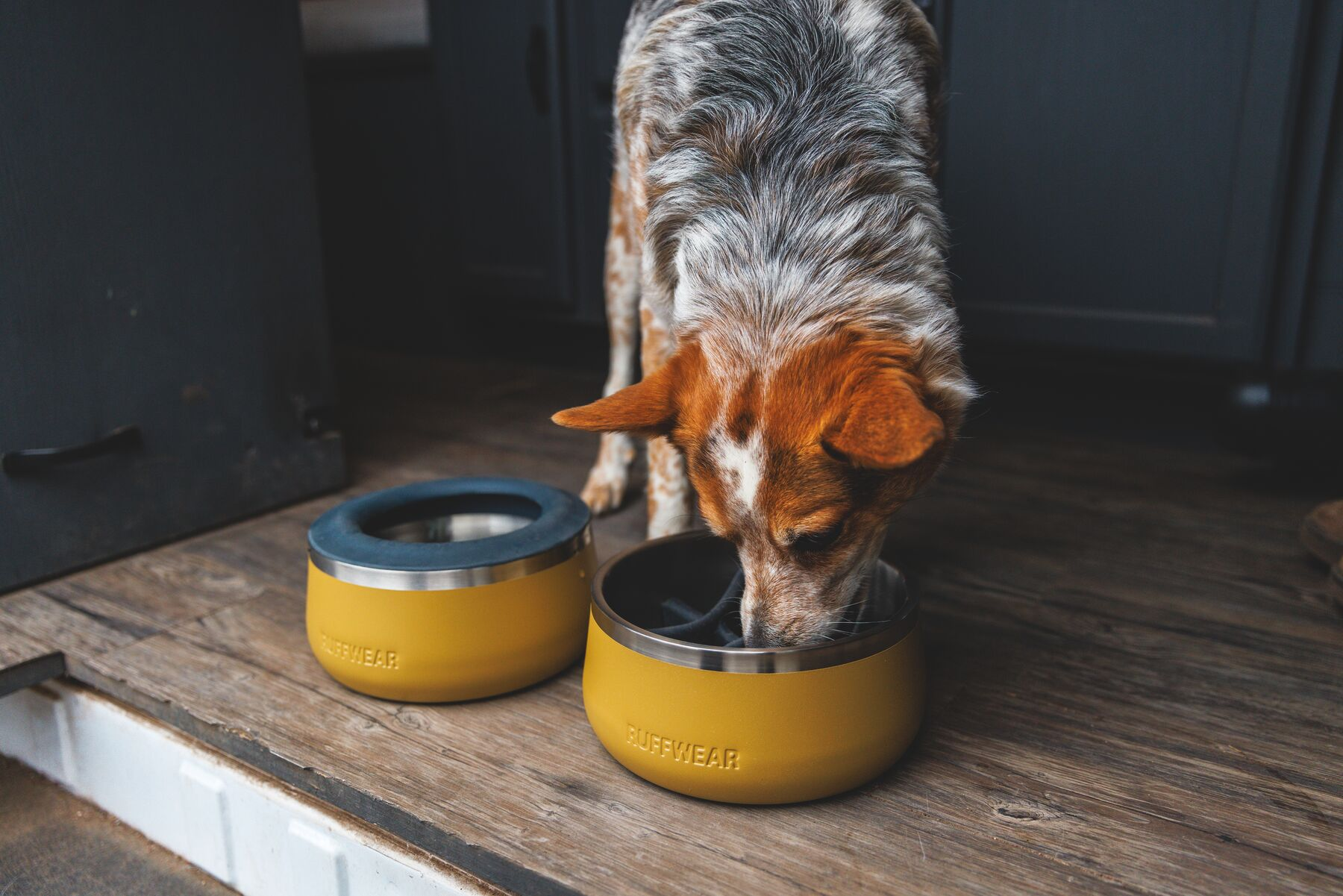 Ruffwear BaseCamp Dog Bowl